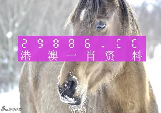 澳門最準(zhǔn)平特一肖100%免費(fèi),澳門最準(zhǔn)平特一肖，揭秘背后的真相與風(fēng)險(xiǎn)警示