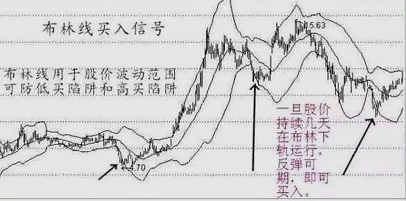 為虎作倀 第1338頁