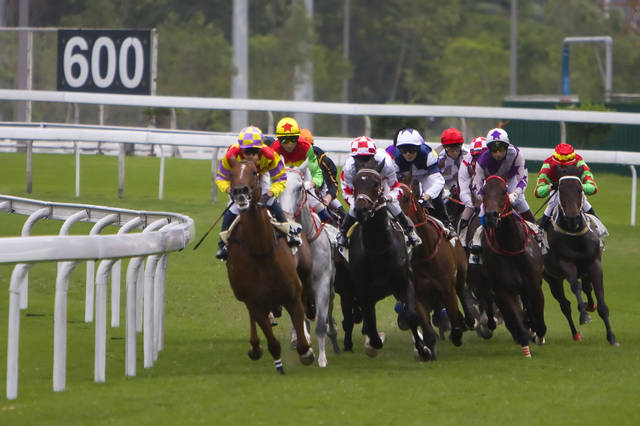 2025今晚香港開特馬,關(guān)于香港賽馬會(huì)特馬賽事的探討