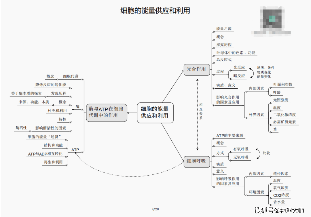 為虎作倀 第1198頁