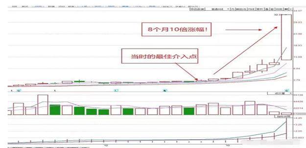 一碼一肖100準你好,一碼一肖，揭秘精準預測背后的秘密