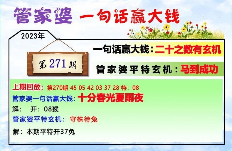 澳門一肖一碼100管家婆9995,澳門一肖一碼與管家婆9995，探索與解析