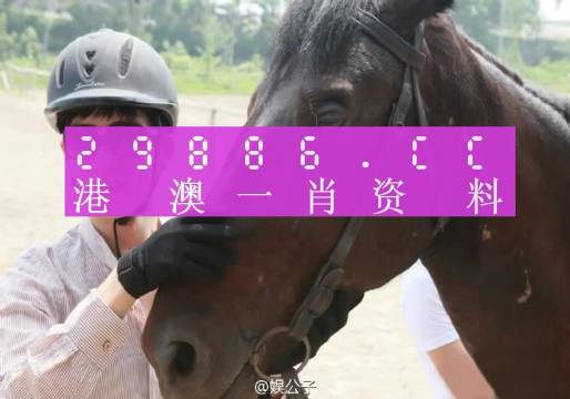 澳門最準(zhǔn)一肖一碼,澳門最準(zhǔn)一肖一碼，揭秘背后的秘密