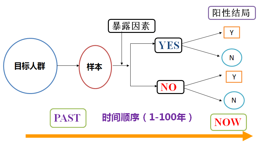 正版資料免費(fèi)資料大全十點(diǎn)半,正版資料與免費(fèi)資料大全，探索與利用的最佳時(shí)刻——十點(diǎn)半的魅力