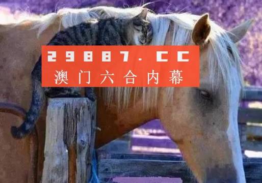 奧門全年資料免費(fèi)大全一,澳門全年資料免費(fèi)大全一，深度解讀與探索