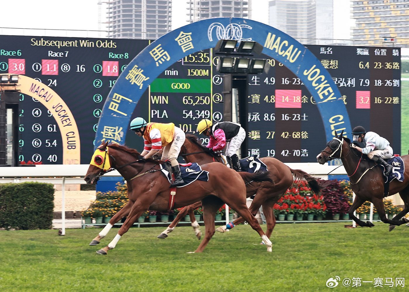 香港內部馬料免費資料亮點,香港內部馬料免費資料亮點深度解析