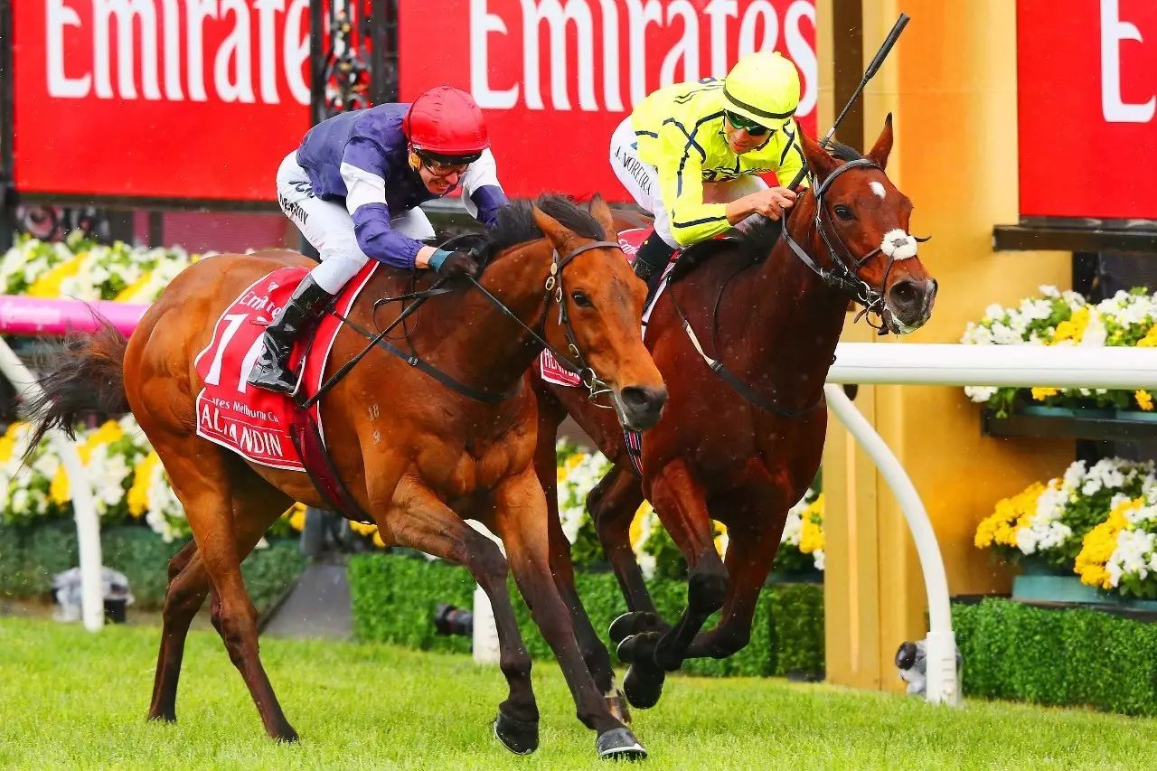 今晚澳門馬出什么特馬,今晚澳門馬出什么特馬，探索賽馬文化的魅力與預(yù)測(cè)藝術(shù)