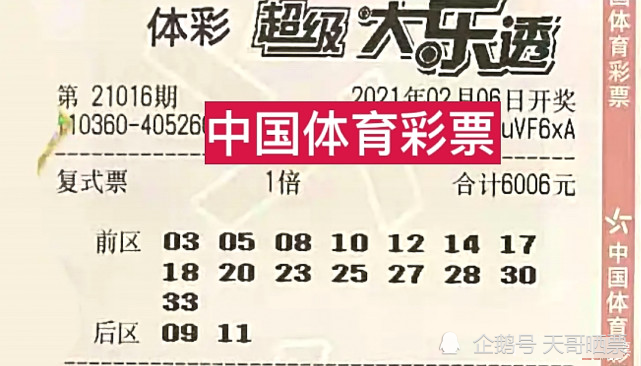 新澳2025今晚開獎結(jié)果,新澳2025今晚開獎結(jié)果揭曉，一場期待與激情的盛宴