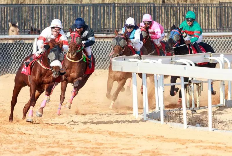 今晚澳門馬出什么特馬,今晚澳門馬出什么特馬，探索賽馬世界的神秘面紗