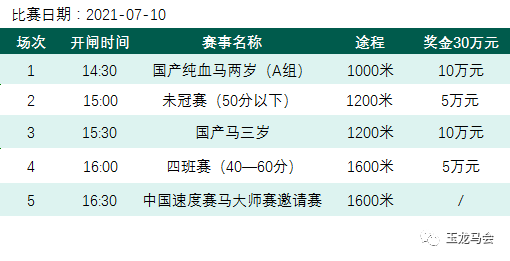 2025年新奧正版資料028期 48-21-15-30-13-07T：35,探索新奧正版資料，揭秘2025年028期數字組合的獨特魅力