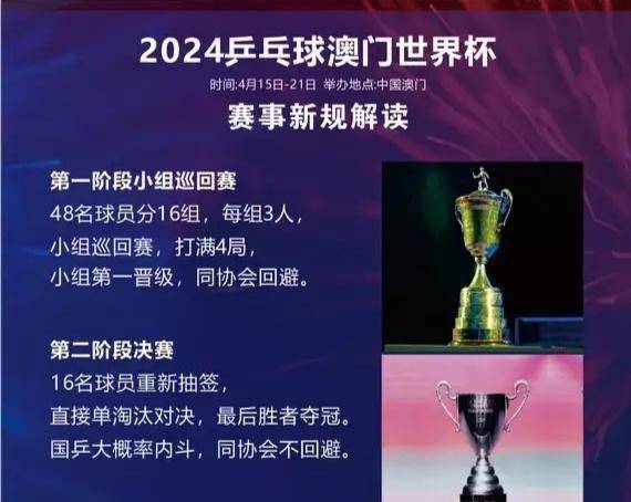 2025年澳門今晚開什么碼005期 03-11-14-15-28-44G：46,探索澳門彩票，以數(shù)字解讀未來之碼